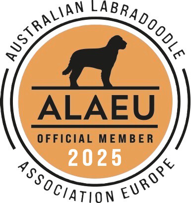 Alaeu logo