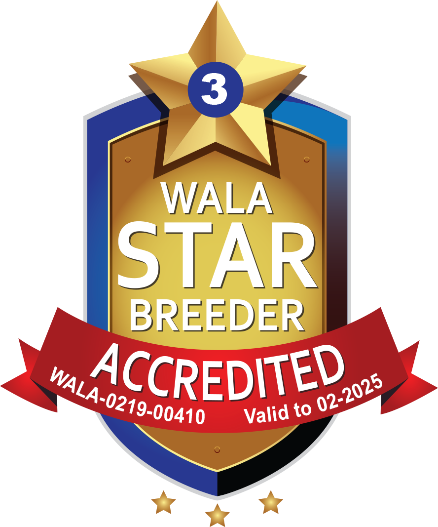 Wala Star Breeder