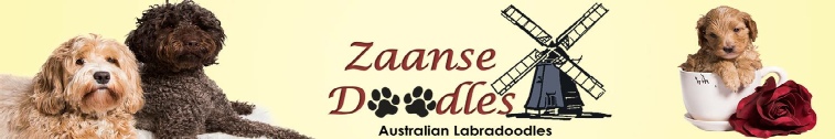 Zaans Doodles logo
