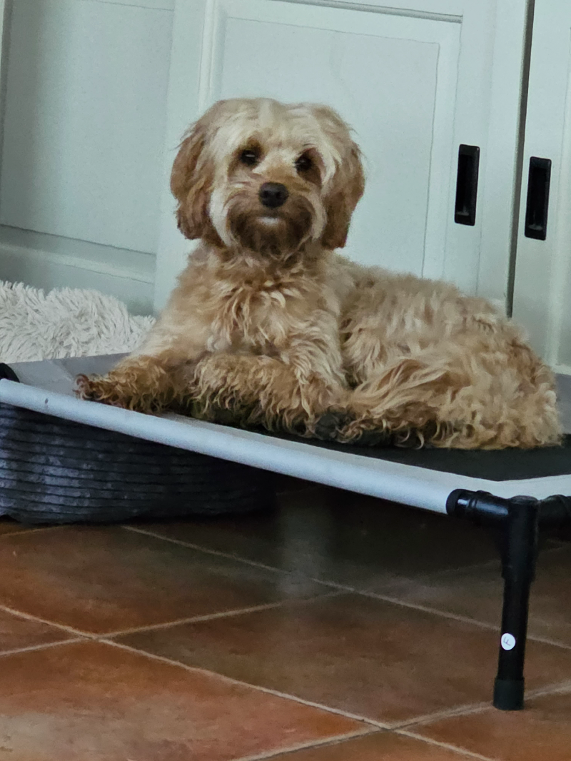 Billy